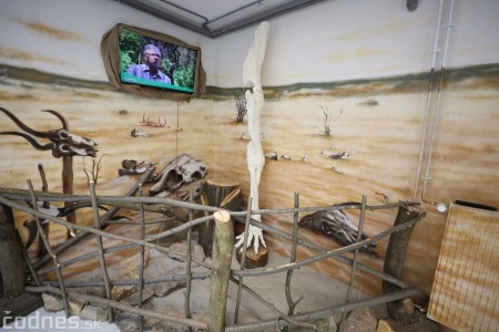Foto a video: Nový pavilón slonov v ZOO Bojnice za 8 miliónov eur dnes slávnostne otvorili 11