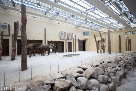 Foto a video: Nový pavilón slonov v ZOO Bojnice za 8 miliónov eur dnes slávnostne otvorili 14