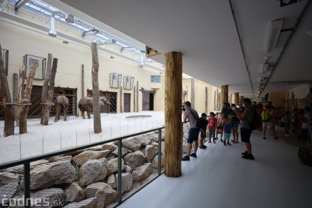 Foto a video: Nový pavilón slonov v ZOO Bojnice za 8 miliónov eur dnes slávnostne otvorili 15