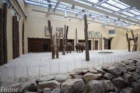 Foto a video: Nový pavilón slonov v ZOO Bojnice za 8 miliónov eur dnes slávnostne otvorili 16