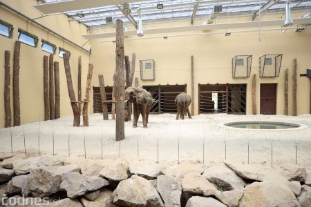Foto a video: Nový pavilón slonov v ZOO Bojnice za 8 miliónov eur dnes slávnostne otvorili 21