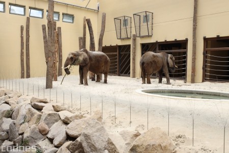 Foto a video: Nový pavilón slonov v ZOO Bojnice za 8 miliónov eur dnes slávnostne otvorili 22