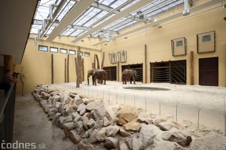 Foto a video: Nový pavilón slonov v ZOO Bojnice za 8 miliónov eur dnes slávnostne otvorili 23