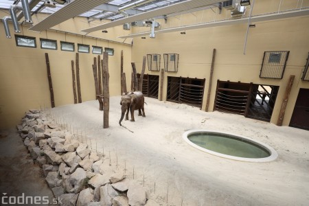 Foto a video: Nový pavilón slonov v ZOO Bojnice za 8 miliónov eur dnes slávnostne otvorili 26