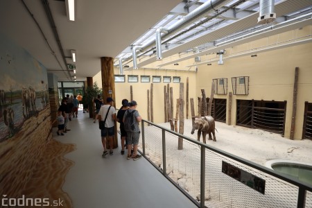 Foto a video: Nový pavilón slonov v ZOO Bojnice za 8 miliónov eur dnes slávnostne otvorili 27
