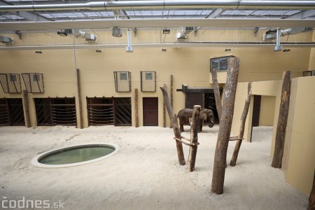 Foto a video: Nový pavilón slonov v ZOO Bojnice za 8 miliónov eur dnes slávnostne otvorili 28