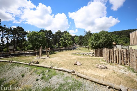 Foto a video: Nový pavilón slonov v ZOO Bojnice za 8 miliónov eur dnes slávnostne otvorili 29