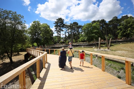 Foto a video: Nový pavilón slonov v ZOO Bojnice za 8 miliónov eur dnes slávnostne otvorili 30