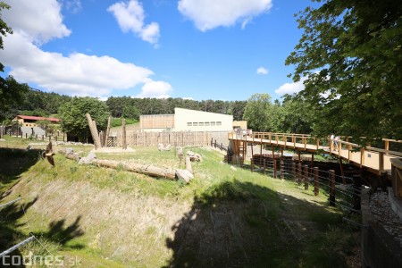 Foto a video: Nový pavilón slonov v ZOO Bojnice za 8 miliónov eur dnes slávnostne otvorili 31