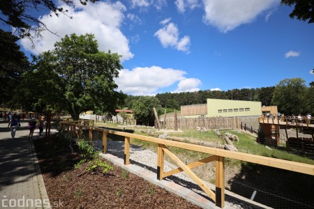 Foto a video: Nový pavilón slonov v ZOO Bojnice za 8 miliónov eur dnes slávnostne otvorili 32
