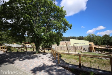 Foto a video: Nový pavilón slonov v ZOO Bojnice za 8 miliónov eur dnes slávnostne otvorili 34
