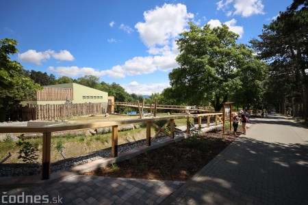 Foto a video: Nový pavilón slonov v ZOO Bojnice za 8 miliónov eur dnes slávnostne otvorili 35