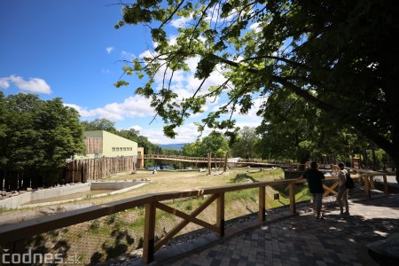 Foto a video: Nový pavilón slonov v ZOO Bojnice za 8 miliónov eur dnes slávnostne otvorili 36