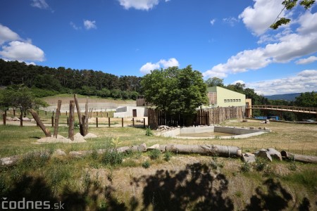 Foto a video: Nový pavilón slonov v ZOO Bojnice za 8 miliónov eur dnes slávnostne otvorili 37