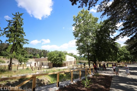 Foto a video: Nový pavilón slonov v ZOO Bojnice za 8 miliónov eur dnes slávnostne otvorili 38