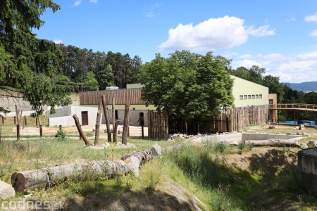 Foto a video: Nový pavilón slonov v ZOO Bojnice za 8 miliónov eur dnes slávnostne otvorili 39