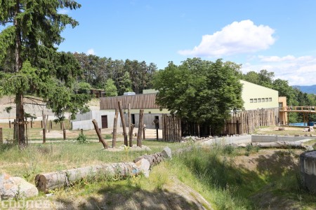 Foto a video: Nový pavilón slonov v ZOO Bojnice za 8 miliónov eur dnes slávnostne otvorili 40
