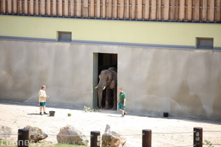 Foto a video: Nový pavilón slonov v ZOO Bojnice za 8 miliónov eur dnes slávnostne otvorili 45