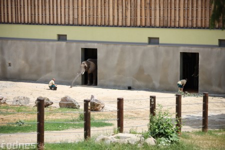 Foto a video: Nový pavilón slonov v ZOO Bojnice za 8 miliónov eur dnes slávnostne otvorili 51