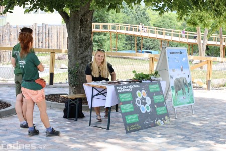 Foto a video: Nový pavilón slonov v ZOO Bojnice za 8 miliónov eur dnes slávnostne otvorili 53