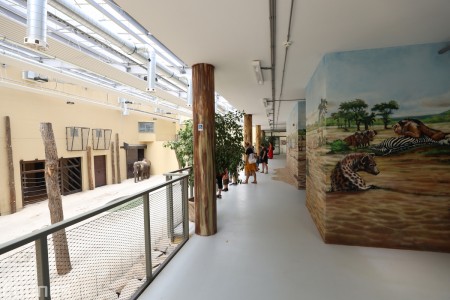 Foto a video: Nový pavilón slonov v ZOO Bojnice za 8 miliónov eur dnes slávnostne otvorili 66