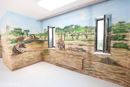 Foto a video: Nový pavilón slonov v ZOO Bojnice za 8 miliónov eur dnes slávnostne otvorili 67
