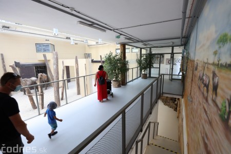 Foto a video: Nový pavilón slonov v ZOO Bojnice za 8 miliónov eur dnes slávnostne otvorili 68