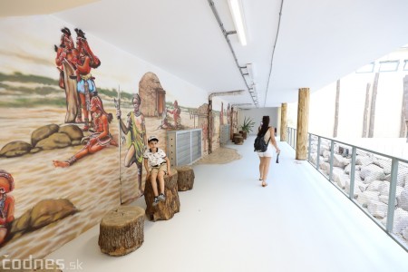 Foto a video: Nový pavilón slonov v ZOO Bojnice za 8 miliónov eur dnes slávnostne otvorili 69