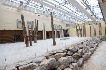 Foto a video: Nový pavilón slonov v ZOO Bojnice za 8 miliónov eur dnes slávnostne otvorili 71