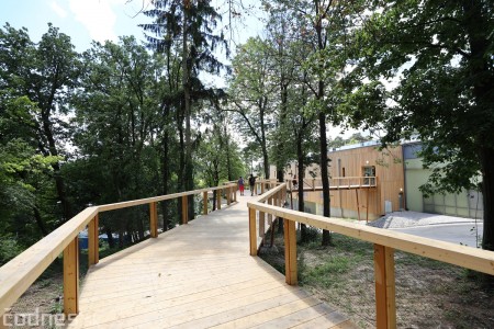 Foto a video: Nový pavilón slonov v ZOO Bojnice za 8 miliónov eur dnes slávnostne otvorili 74
