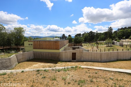 Foto a video: Nový pavilón slonov v ZOO Bojnice za 8 miliónov eur dnes slávnostne otvorili 76