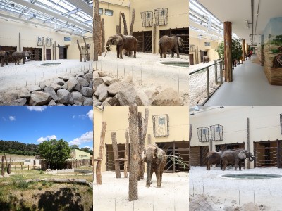 Foto a video: Nový pavilón slonov v ZOO Bojnice za 8 miliónov eur dnes slávnostne otvorili