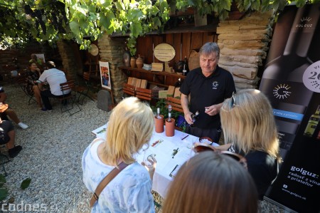 Foto a video: Bojnický festival poctivých vín 2021 4