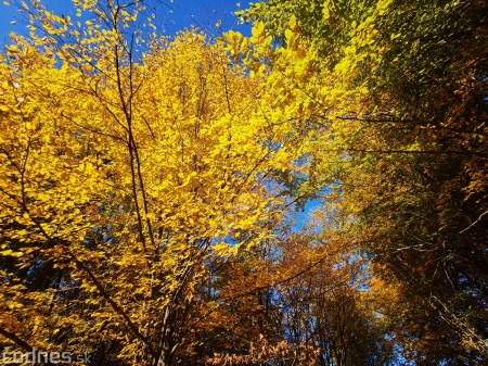 Foto: Jeseň - Skala Hrádok - lezecká oblasť - Kamenec pod Vtáčnikom 0