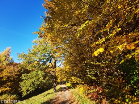 Foto: Jeseň - Skala Hrádok - lezecká oblasť - Kamenec pod Vtáčnikom 2