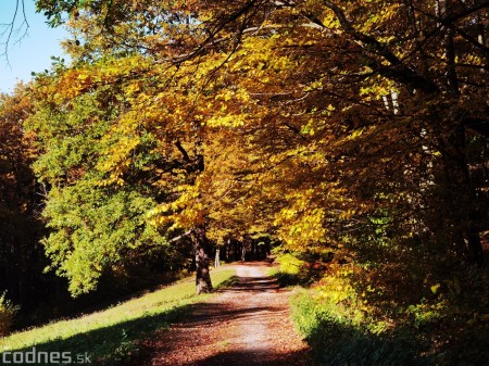 Foto: Jeseň - Skala Hrádok - lezecká oblasť - Kamenec pod Vtáčnikom 4