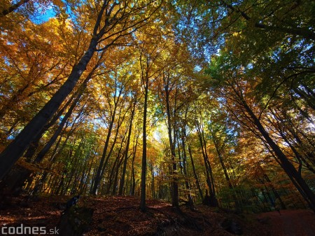 Foto: Jeseň - Skala Hrádok - lezecká oblasť - Kamenec pod Vtáčnikom 5