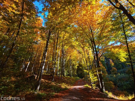 Foto: Jeseň - Skala Hrádok - lezecká oblasť - Kamenec pod Vtáčnikom 7