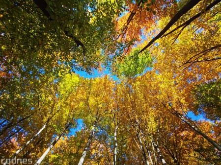 Foto: Jeseň - Skala Hrádok - lezecká oblasť - Kamenec pod Vtáčnikom 8