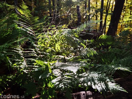 Foto: Jeseň - Skala Hrádok - lezecká oblasť - Kamenec pod Vtáčnikom 17