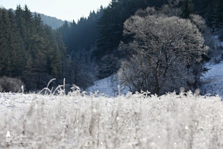 Foto: OBEC BRIEŠTIE A HADVIGA 2