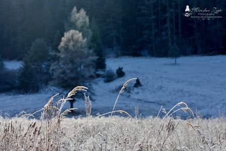 Foto: OBEC BRIEŠTIE A HADVIGA 30