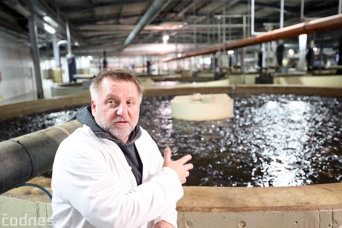 Foto a video: V Handlovej vylovili vyše 700.000 kilogramov sumčeka afrického a od svojho vzniku vyprodukovala 13,6 milióna kilogramov paradajok