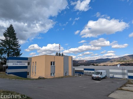 Foto a video: V Handlovej vylovili vyše 700.000 kilogramov sumčeka afrického a od svojho vzniku vyprodukovala 13,6 milióna kilogramov paradajok 5