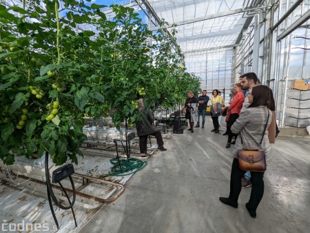 Foto a video: V Handlovej vylovili vyše 700.000 kilogramov sumčeka afrického a od svojho vzniku vyprodukovala 13,6 milióna kilogramov paradajok 6