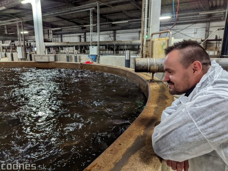 Foto a video: V Handlovej vylovili vyše 700.000 kilogramov sumčeka afrického a od svojho vzniku vyprodukovala 13,6 milióna kilogramov paradajok 14