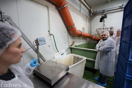 Foto a video: V Handlovej vylovili vyše 700.000 kilogramov sumčeka afrického a od svojho vzniku vyprodukovala 13,6 milióna kilogramov paradajok 17