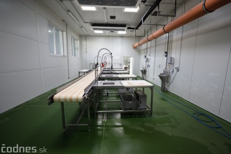 Foto a video: V Handlovej vylovili vyše 700.000 kilogramov sumčeka afrického a od svojho vzniku vyprodukovala 13,6 milióna kilogramov paradajok 19