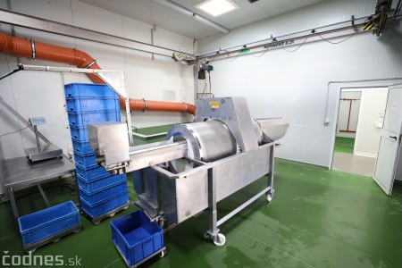 Foto a video: V Handlovej vylovili vyše 700.000 kilogramov sumčeka afrického a od svojho vzniku vyprodukovala 13,6 milióna kilogramov paradajok 20