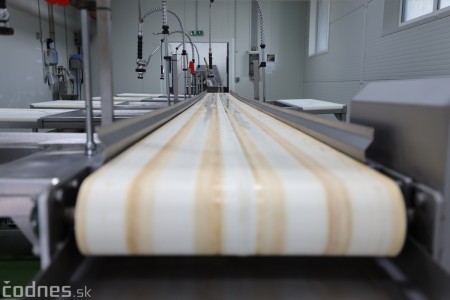 Foto a video: V Handlovej vylovili vyše 700.000 kilogramov sumčeka afrického a od svojho vzniku vyprodukovala 13,6 milióna kilogramov paradajok 21